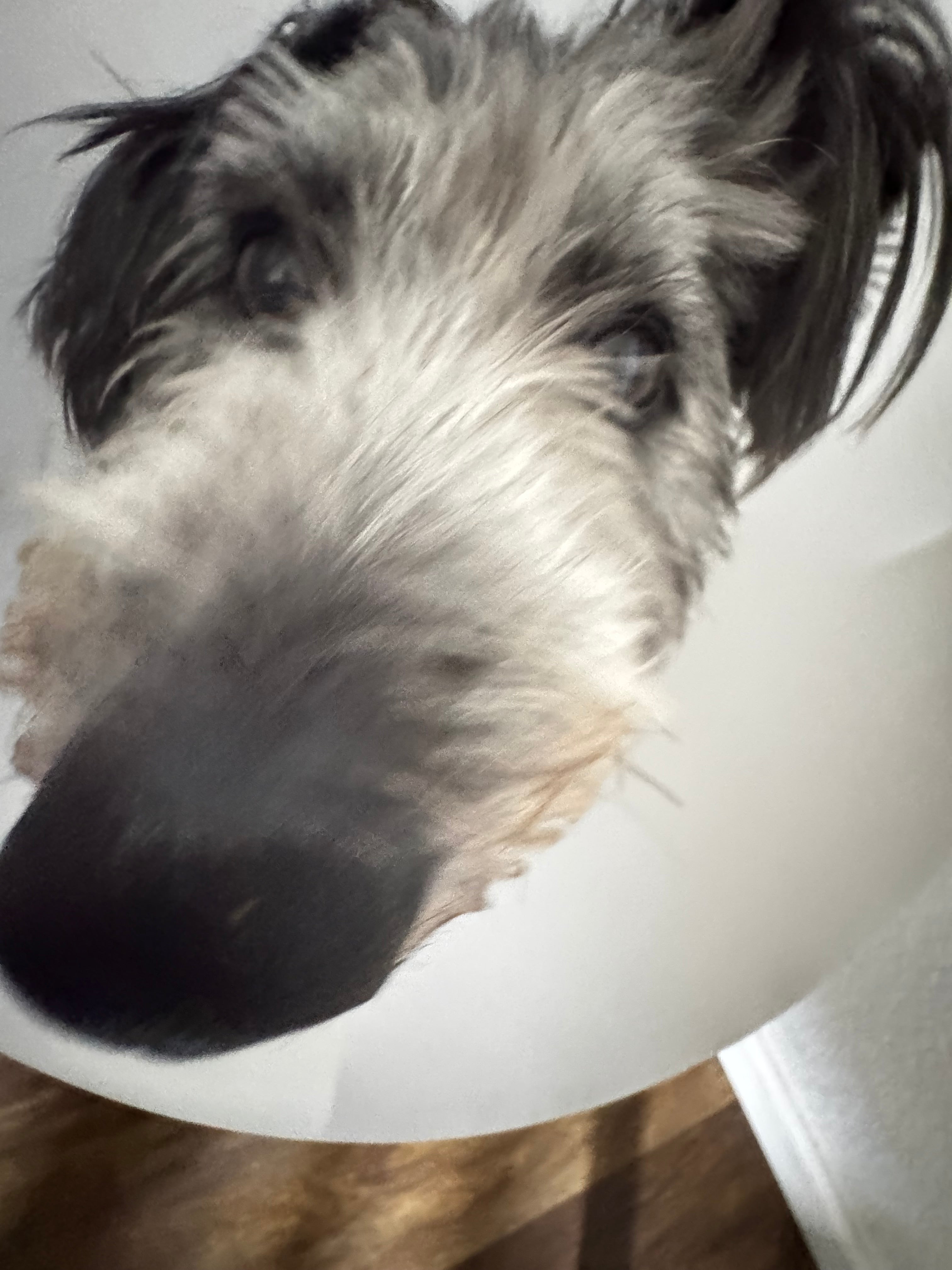 Custom Rosary with Photo